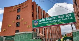 इम्पेरमेन्ट चार्ज घट्दा कृषि विकास बैंकको नाफामा वृद्धि