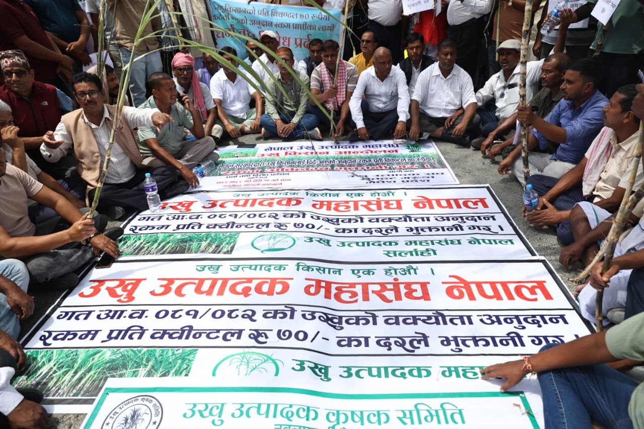 अनुदान रकम माग्दै काठमाडौंमा आन्दोलनमा उत्रिए उखु किसान, भन्छन्– माग पूरा नहुन्जेल छाड्दैनाैं