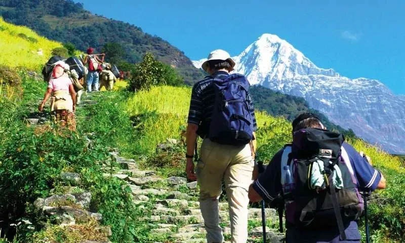 १ असोजदेखि अनलाइन ट्रयाकिङमा विदेशी पर्यटक, कुन क्षेत्रमा कहिले ?