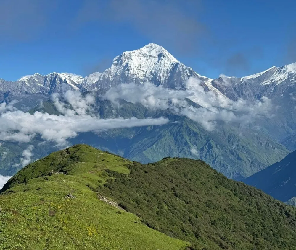 धौलागिरि आरोहण गर्न २४ जनाले लिए अनुमति