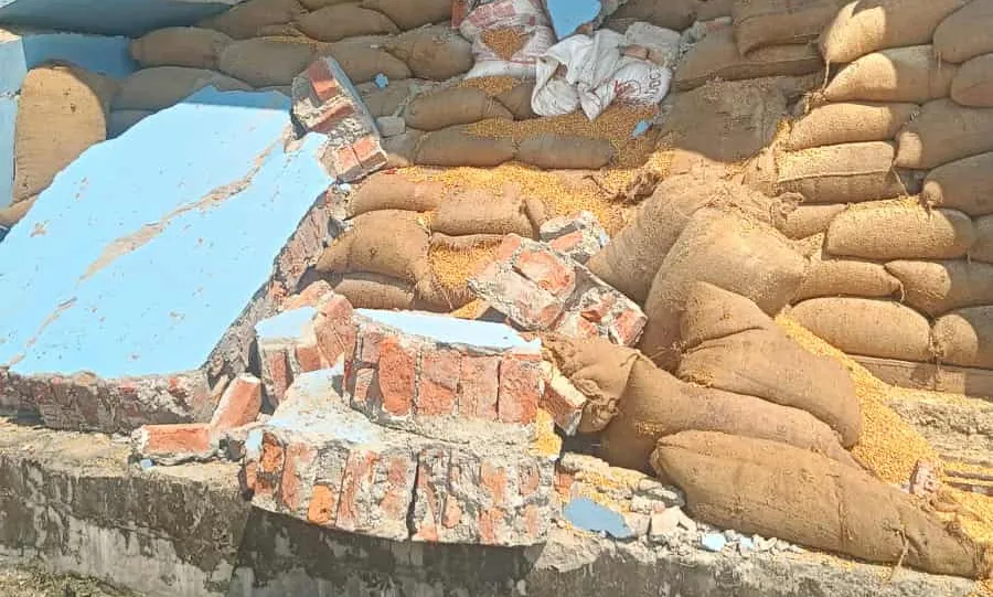 चितवनमा किसान दाना उद्योगको पर्खाल भत्किँदा ३ जना कामदारको मृत्यु