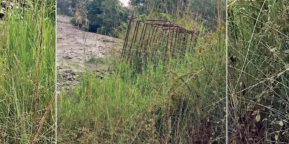 माडी–ठोरी सडकखण्डमा निर्माण अलपत्र पतरी खोला पुलको ठेक्का तोडियो