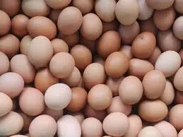 अण्डाको मूल्य प्रतिक्रेट ५० रुपैयाँ घट्यो, कति पुग्यो ?