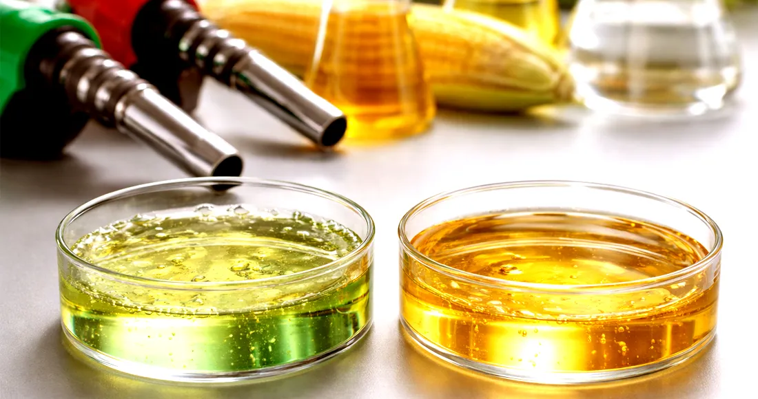 अब पेट्रोलमा इथानोल मिसाउन पाउने, यस्ता छन् मन्त्रिपरिषद् बैठकका ८ निर्णय