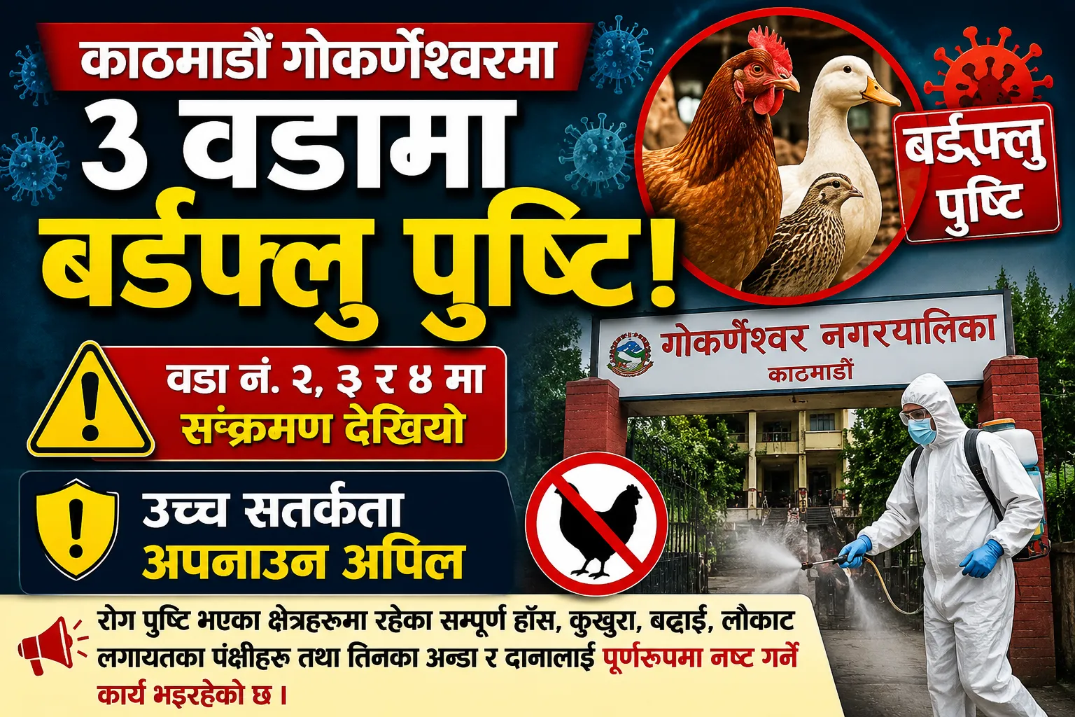 काठमाडौं गोकर्णेश्वरका ३ वडामा बर्डफ्लु पुष्टि, उच्च सतर्कता अपनाउन अपिल