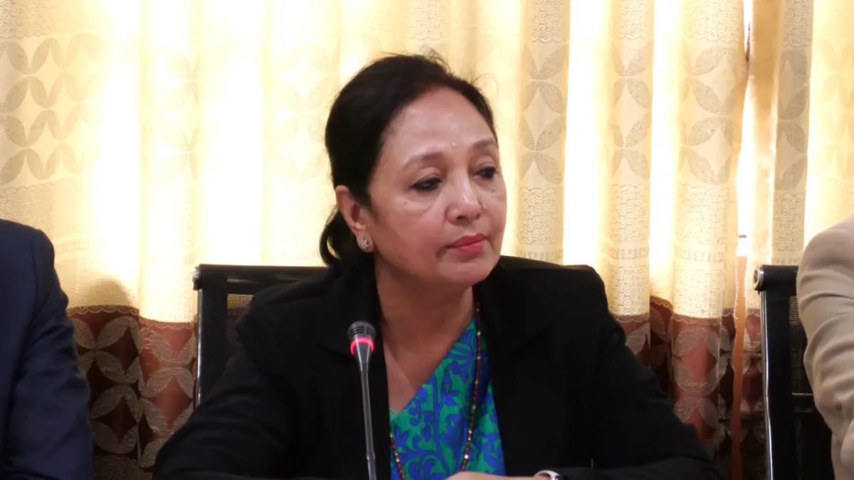 मानवअधिकार आयोगका सिफारिस कार्यान्वयन नगर्नु राज्यतर्फबाट भएको मानवअधिकार हनन : लिली थापा