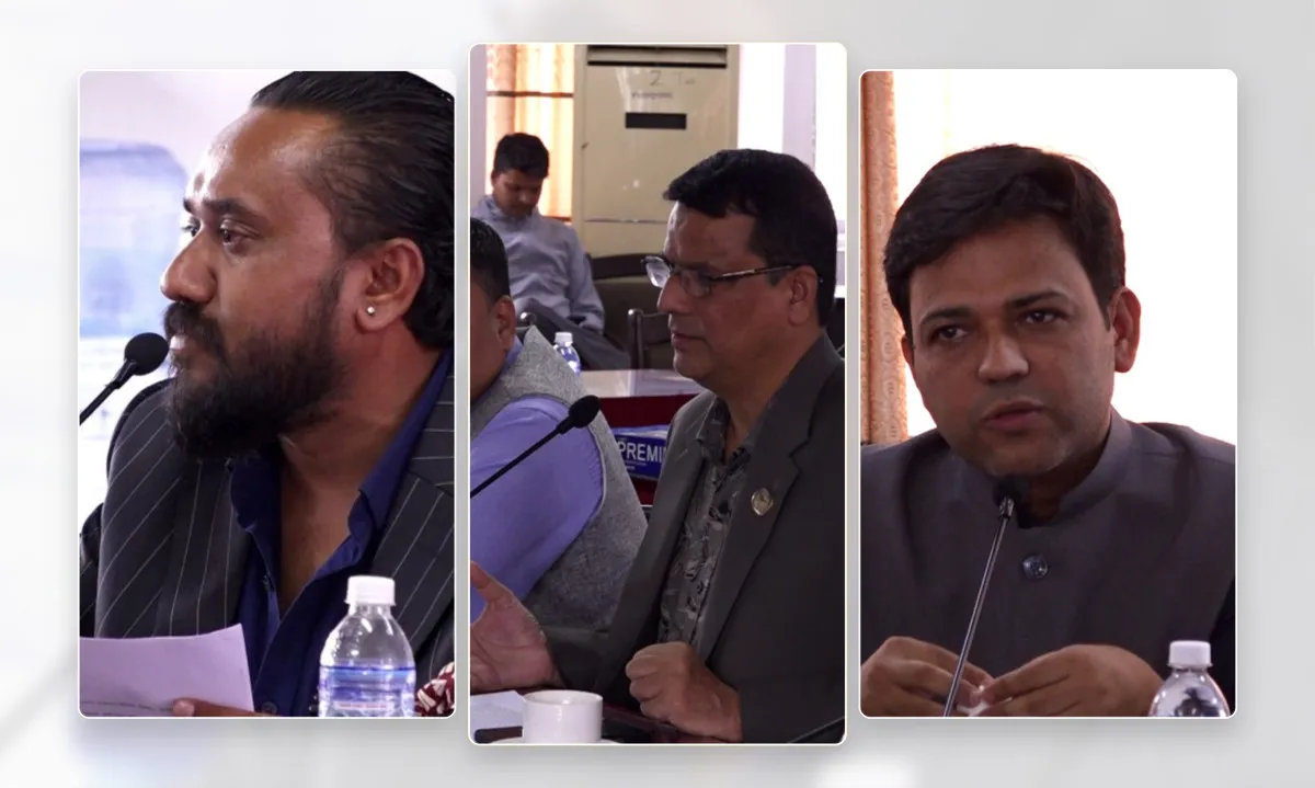 आर्थिक अनियमितताका मुद्दामा गम्भीर हुन सुझाव