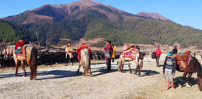 ढोरपाटनमा पर्यटक बढे, प्रवेश शुल्कबाट ४७ लाख राजस्व
