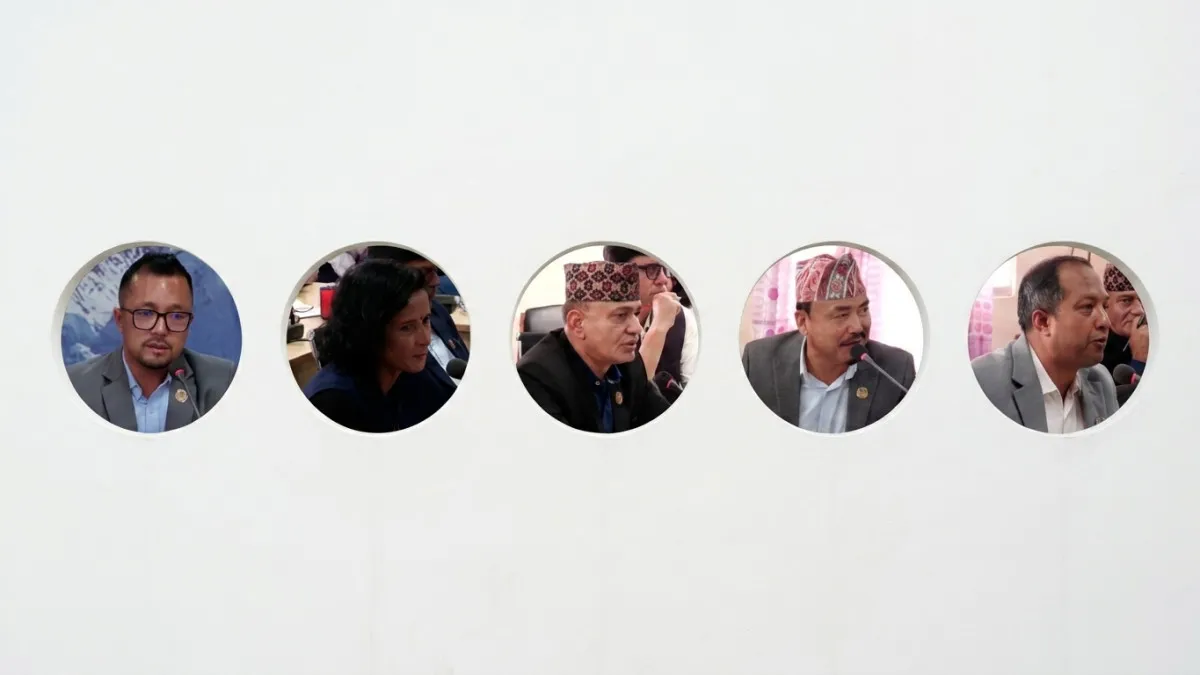 हाइड्रोपावरमै केन्द्रित निजी लगानीप्रति सांसदको असन्तुष्टि, अन्य क्षेत्रमा लगानी बढाउन जोड