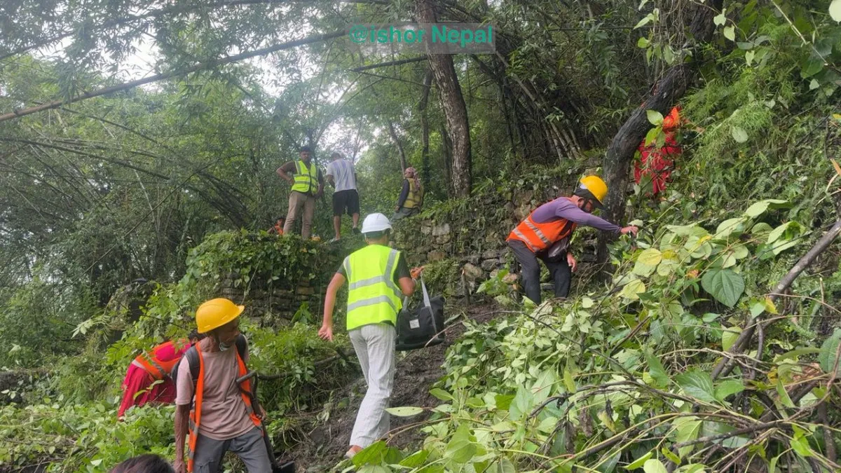 कृष्णभीरमा सडक सञ्चालनका लागि रुख कटान सुरु, प्राविधिक प्रतिवेदनको प्रतिक्षा